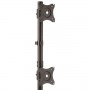 StarTech.com Supporto Verticale da Scrivania per 2 Monitor VESA - Regolabile (ARMDUALV)