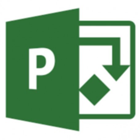 PROJECT ONLINE ESSENTIALS