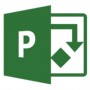 PROJECT ONLINE ESSENTIALS
