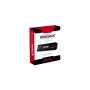 Kingston Technology 1000G RENEGADE PCIe 4.0 NVMe SSD W/ Dissipatore di calore