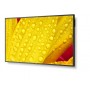 NEC MultiSync M501-2 Design chiosco 127 cm (50") LED 4K Ultra HD Nero Processore integrato