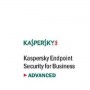 KES ADV EU 150-249 NODE 1Y SCCS (KL4867XASFG)