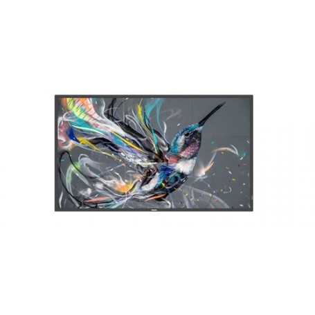 MONITOR 43 Q-LINE 18/7 4K (43BDL3511Q/00)