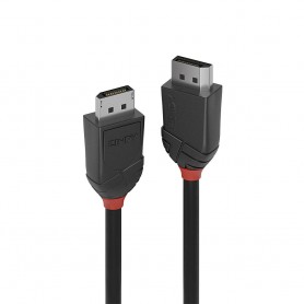 Lindy 36493 cavo DisplayPort 3 m Nero (36493-LND)