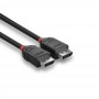 Lindy 36493 cavo DisplayPort 3 m Nero (36493-LND)