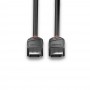 Lindy 36493 cavo DisplayPort 3 m Nero (36493-LND)