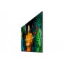 Samsung QH43C Pannello piatto per segnaletica digitale 109,2 cm (43") LCD Wi-Fi 700 cd/m² 4K Ultra HD Nero Processore integrato