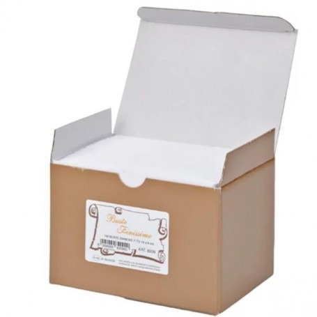 CF100 BUSTE BRISTOL 9X14CM BIANC (8209BUSTA)