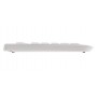 CHERRY KC 1000 tastiera Universale USB QWERTY Inglese UK Grigio