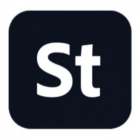 STOCKTEAMS OTHER ML SUB N GOV