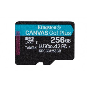 Kingston Technology Canvas Go! Plus 256 GB MicroSD UHS-I Classe 10 (SDCG3/256GBSP)