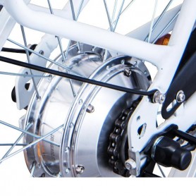 MOTOR J1 250W 36V (ZM9SPJ10012)