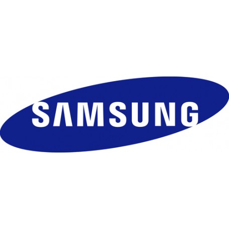 Samsung P-LM-2NXX46H estensione della garanzia (C4A0-P-LM-2NXX46H)