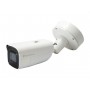 LevelOne FCS-5095 Telecamera di sicurezza IP Interno e esterno Lampadina 3840 x 2160 Pixel Soffitto/muro (FCS-5095)