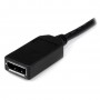 StarTech.com Cavo Adattatore LFH59 / DMS59 a doppio DisplayPort - Convertitore LFH59 a due uscite DP da 20cm (DMSDPDP1)