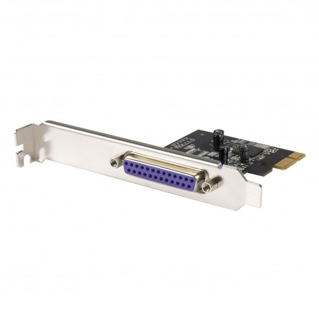 StarTech.com PEX1P2 scheda di interfaccia e adattatore Interno Parallelo (PEX1P2)