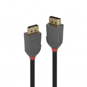 Lindy 36482 cavo DisplayPort 2 m Nero (36482)