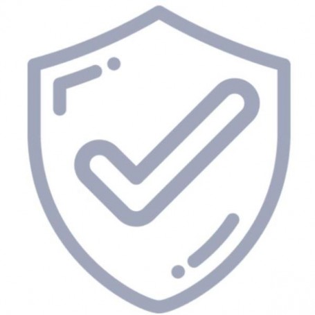 MSWSBC/LR-REMT-IMPL LOW.CAP.MVE/ (MSWSBC/L-REMT-IMPL)