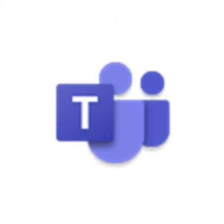 MICROSOFT TEAMS PHONE STANDARD (CFQ7TTC0LH0T-0001)