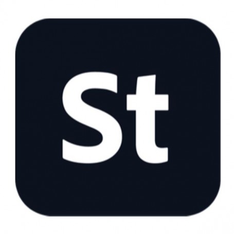 STOCKTEAMS LARGE ML SUB N GOV