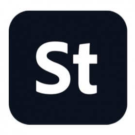 STOCKTEAMS LARGE ML SUB N EDU