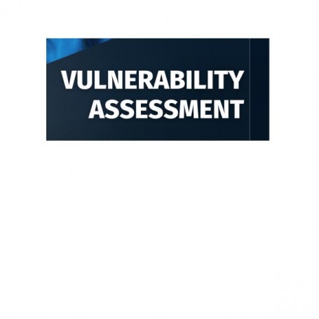 CONTINUOUS VULN ASS SCAN-1IP