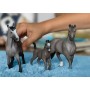schleich HORSE CLUB 13955 action figure giocattolo