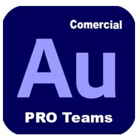 AUDITION - PRO TEAMS MULTI