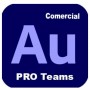 AUDITION - PRO TEAMS MULTI