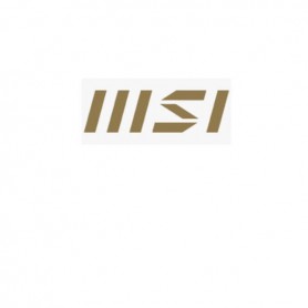 MSI  1YR WARRANTY EXT_PRO DT_PRO