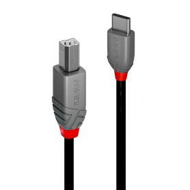 Lindy 36941 cavo USB USB 2.0 1 m USB C USB B Nero
