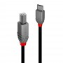 Lindy 36941 cavo USB USB 2.0 1 m USB C USB B Nero