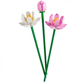 FIORI DI LOTO