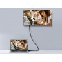 Equip 119251 Cavo DisplayPort 1.4, 1,0 m, 8K/60Hz