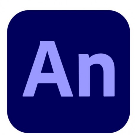 ANIM/FLASH PRO ENT ML SUB N