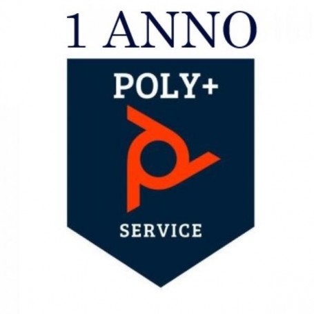 1Y POLY+ STUDIO R30