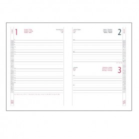 AGENDA DELTA GIORNAL.17X24 VERDE