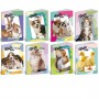 CF10 HELLO PETS 100G 24FF+1 0B