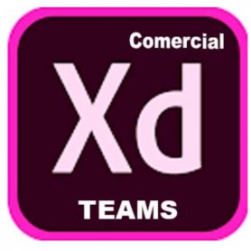 XD PRO TEAMS ML NEW GOV