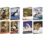 CF10 QUADERNO ANIMALI 100G A4 1R
