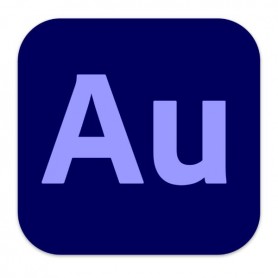 AUDITION PRO TEAM ML SUB N