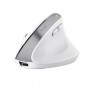 Trust Bayo+ mouse Ufficio Mano destra RF senza fili + Bluetooth Ottico 2400 DPI