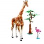 ANIMALI DEL SAFARI