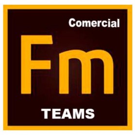 FRAMEMAKER TEAMS ML NEW GOV