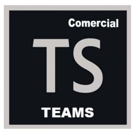 TECHSUITE TEAMS ML NEW GOV