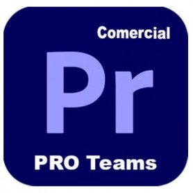 PREMIER PRO TEAMS ML NEW GOV