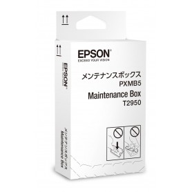 Epson WorkForce WF-100W Series Maintenance Box (C13T295000)
