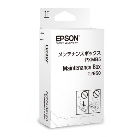 Epson WorkForce WF-100W Series Maintenance Box (C13T295000)
