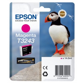 Epson T3243 Magenta (C13T32434010)