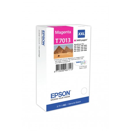 Epson Tanica Magenta (C13T70134010)